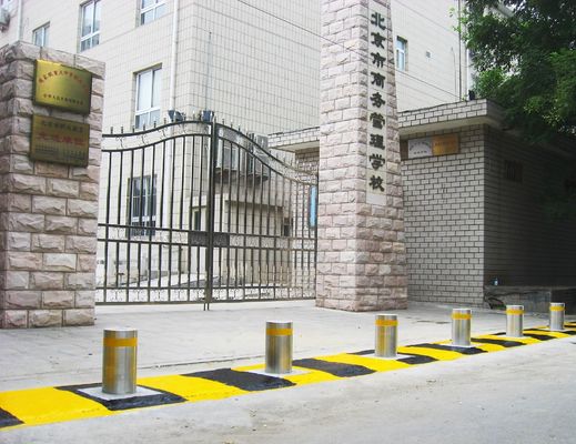 114mm Diameter 219mm Cylinder Semi Automatic Bollards with Tianjin Port Origin for Secure Vehicle Access Control