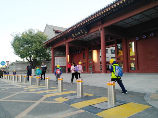 217mm Diameter High Security Automatic Bollards For Driveways With Customer Required Voltage