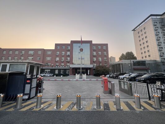 304 316 Stainless Steel Automatic Bollard with IP68 Rating and 600mm-1000mm Height for Enhanced Security