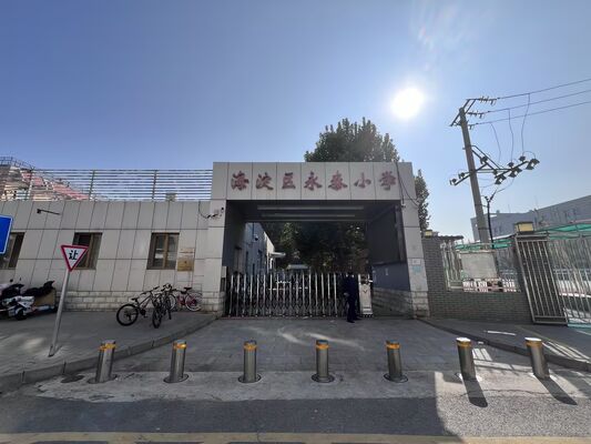 304 Stainless Steel IP68 Rated Hydraulic Bollards with 600mm-1000mm Height for Perimeter Protection