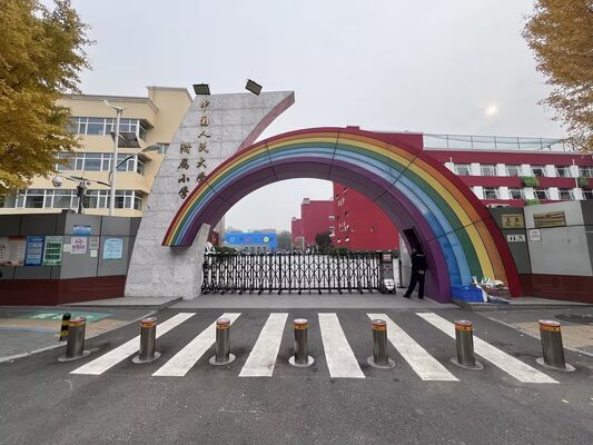 304 Stainless Steel IP68 Rated Hydraulic Bollards with 600mm-1000mm Height for Perimeter Protection