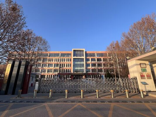 304 316 Stainless Steel Automatic Bollards with 6mm Thickness and IP68 Rating for Electric Security